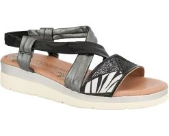 Unity In Diversity Cacatua